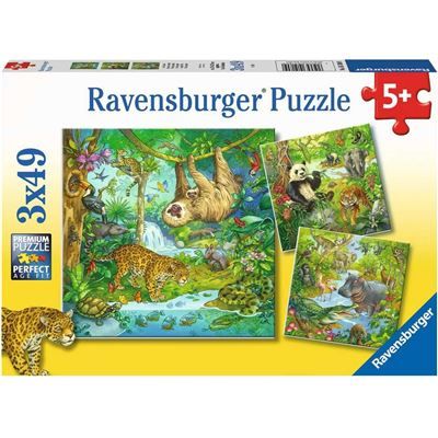 Spiel 733.0